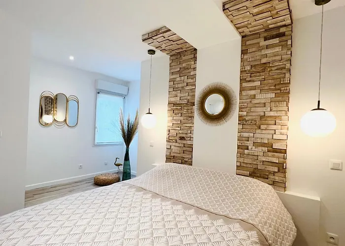 Feel@Home Nemausus «Le 31»